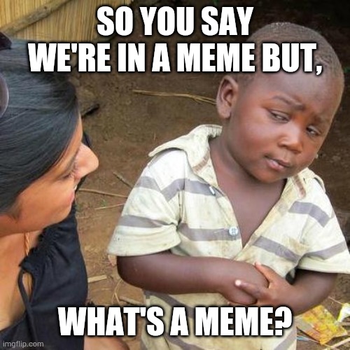 Third World Skeptical Kid Meme | SO YOU SAY WE'RE IN A MEME BUT, WHAT'S A MEME? | image tagged in memes,third world skeptical kid | made w/ Imgflip meme maker
