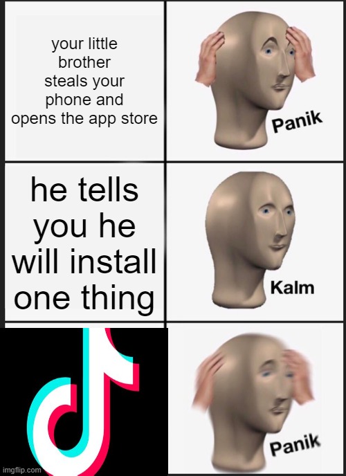 Panik Kalm Panik Meme | your little brother steals your phone and opens the app store; he tells you he will install one thing | image tagged in memes,panik kalm panik | made w/ Imgflip meme maker