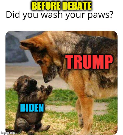 It Really Will be an Unfair Battle! Think Biden Will Show or Cancel? | BEFORE DEBATE; TRUMP; BIDEN | image tagged in politics,political meme,donald trump,joe biden,liberals vs conservatives,winning | made w/ Imgflip meme maker