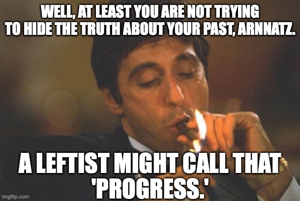 Scarface Serious | WELL, AT LEAST YOU ARE NOT TRYING TO HIDE THE TRUTH ABOUT YOUR PAST, ARNNATZ. A LEFTIST MIGHT CALL THAT
'PROGRESS.' | image tagged in scarface serious | made w/ Imgflip meme maker
