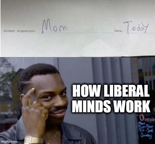 Am I right? | HOW LIBERAL MINDS WORK | image tagged in politics,political meme,democrats,donald trump approves,progressives,democratic socialism | made w/ Imgflip meme maker