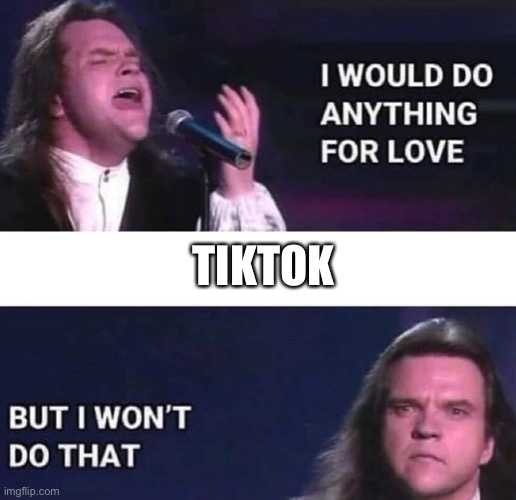 Tiktok | TIKTOK | image tagged in i would do anything for love | made w/ Imgflip meme maker