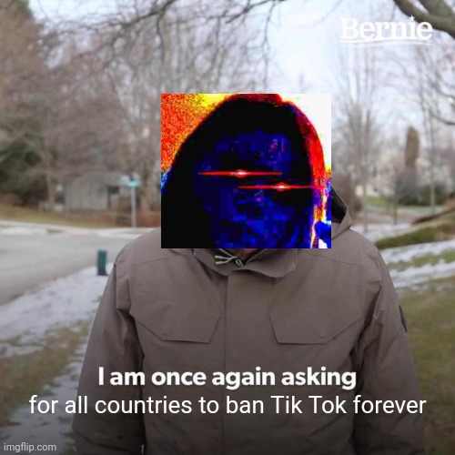 Bernie I Am Once Again Asking For Your Support | for all countries to ban Tik Tok forever | image tagged in memes,bernie i am once again asking for your support | made w/ Imgflip meme maker