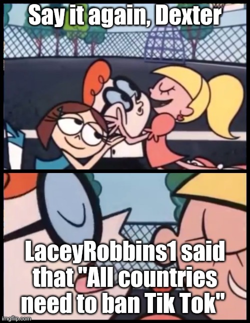 *MARKED* All Countries Need To Ban Tik Tok | Say it again, Dexter; LaceyRobbins1 said that "All countries need to ban Tik Tok" | image tagged in memes,say it again dexter | made w/ Imgflip meme maker