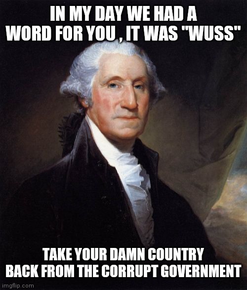 Die on your feet or live on your knees | IN MY DAY WE HAD A WORD FOR YOU , IT WAS "WUSS"; TAKE YOUR DAMN COUNTRY BACK FROM THE CORRUPT GOVERNMENT | image tagged in memes,george washington | made w/ Imgflip meme maker