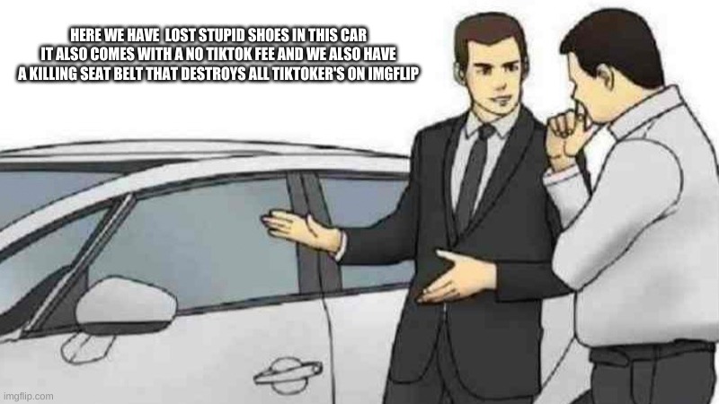 Car Salesman Slaps Roof Of Car | HERE WE HAVE  LOST STUPID SHOES IN THIS CAR IT ALSO COMES WITH A NO TIKTOK FEE AND WE ALSO HAVE A KILLING SEAT BELT THAT DESTROYS ALL TIKTOKER'S ON IMGFLIP | image tagged in memes,car salesman slaps roof of car | made w/ Imgflip meme maker
