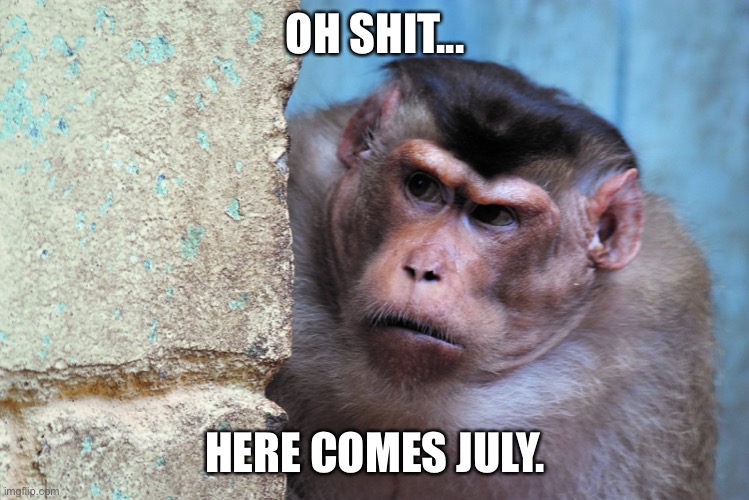 July | OH SHIT... HERE COMES JULY. | image tagged in 4th of july,coronavirus,covid-19,pandemic | made w/ Imgflip meme maker