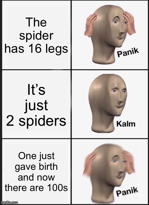 Panik Kalm Panik | The spider has 16 legs; It’s just 2 spiders; One just gave birth and now there are 100s | image tagged in memes,panik kalm panik | made w/ Imgflip meme maker