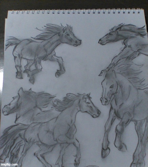 Another drawing I made!!! | image tagged in horses,fun,drawing | made w/ Imgflip meme maker