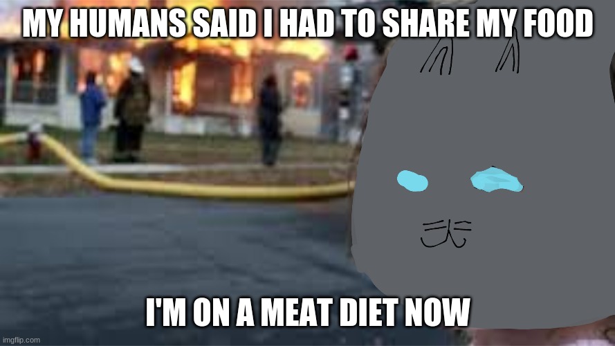 Disaster Cat | MY HUMANS SAID I HAD TO SHARE MY FOOD; I'M ON A MEAT DIET NOW | image tagged in disaster cat | made w/ Imgflip meme maker