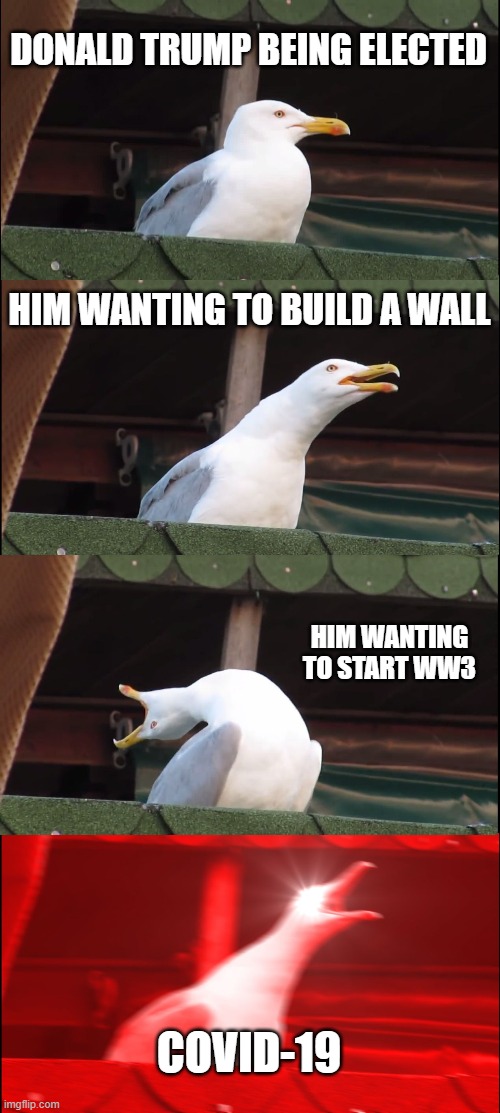 Donald trump | DONALD TRUMP BEING ELECTED; HIM WANTING TO BUILD A WALL; HIM WANTING TO START WW3; COVID-19 | image tagged in memes,inhaling seagull | made w/ Imgflip meme maker