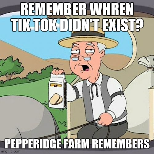 Pepperidge Farm Remembers Meme | REMEMBER WHREN TIK TOK DIDN'T EXIST? PEPPERIDGE FARM REMEMBERS | image tagged in memes,pepperidge farm remembers | made w/ Imgflip meme maker