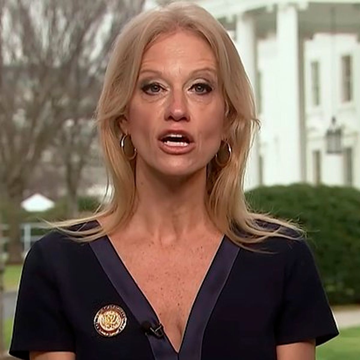 High Quality kellyanne angry Blank Meme Template