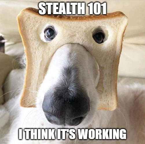 Stealth 101 | STEALTH 101; I THINK IT'S WORKING | image tagged in memes,dogs,funny,fun,bread | made w/ Imgflip meme maker