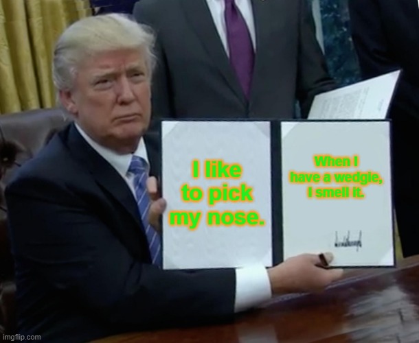 Trump Bill Signing Meme | I like to pick my nose. When I have a wedgie, I smell it. | image tagged in memes,trump bill signing | made w/ Imgflip meme maker