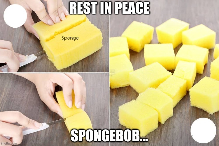 bye bye | REST IN PEACE; SPONGEBOB... | image tagged in spongebob,rip,rest in peace,no more,sorry,sponge | made w/ Imgflip meme maker
