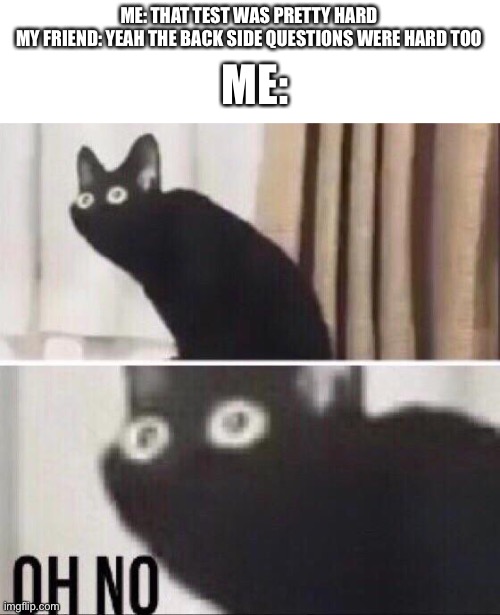 Oh no cat | ME:; ME: THAT TEST WAS PRETTY HARD
MY FRIEND: YEAH THE BACK SIDE QUESTIONS WERE HARD TOO | image tagged in oh no cat | made w/ Imgflip meme maker