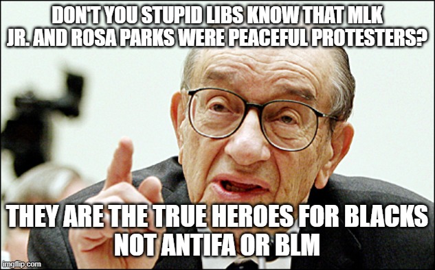 The Real Heroes | DON'T YOU STUPID LIBS KNOW THAT MLK JR. AND ROSA PARKS WERE PEACEFUL PROTESTERS? THEY ARE THE TRUE HEROES FOR BLACKS
NOT ANTIFA OR BLM | image tagged in memes,stupid liberals,martin luther king jr,rosa parks,protesters,heroes | made w/ Imgflip meme maker