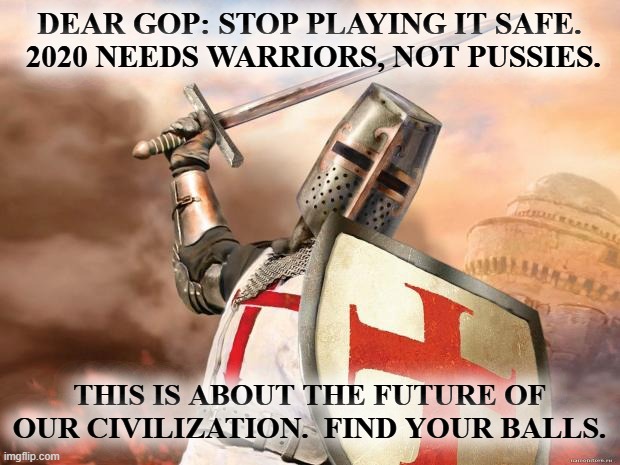 No more playing it safe. |  DEAR GOP: STOP PLAYING IT SAFE.  2020 NEEDS WARRIORS, NOT PUSSIES. THIS IS ABOUT THE FUTURE OF OUR CIVILIZATION.  FIND YOUR BALLS. | image tagged in crusader | made w/ Imgflip meme maker