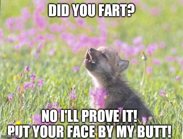 Baby Insanity Wolf | DID YOU FART? NO I'LL PROVE IT! PUT YOUR FACE BY MY BUTT! | image tagged in memes,baby insanity wolf | made w/ Imgflip meme maker