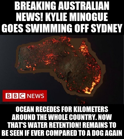 You'd hope someone that loose would wear an airtight wetsuit! | image tagged in kylie minogue,kylieminoguesucks,google kylie minogue,kylie minogue memes,loose | made w/ Imgflip meme maker