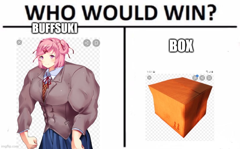 Who Would Win? | BUFFSUKI; BOX | image tagged in memes,who would win | made w/ Imgflip meme maker