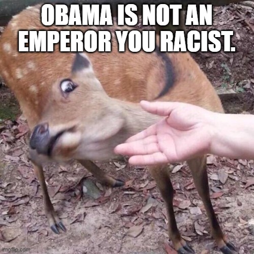 nope | OBAMA IS NOT AN EMPEROR YOU RACIST. | image tagged in nope | made w/ Imgflip meme maker