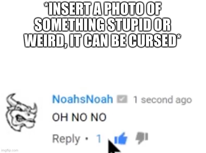 NoahsNoah Oh No No | *INSERT A PHOTO OF SOMETHING STUPID OR WEIRD, IT CAN BE CURSED* | image tagged in noahsnoah oh no no | made w/ Imgflip meme maker