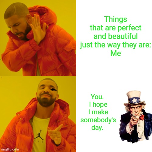 My complement to my fellow memers | Things that are perfect and beautiful just the way they are:
Me; You. 
I hope I make somebody's day. | image tagged in memes,drake hotline bling | made w/ Imgflip meme maker