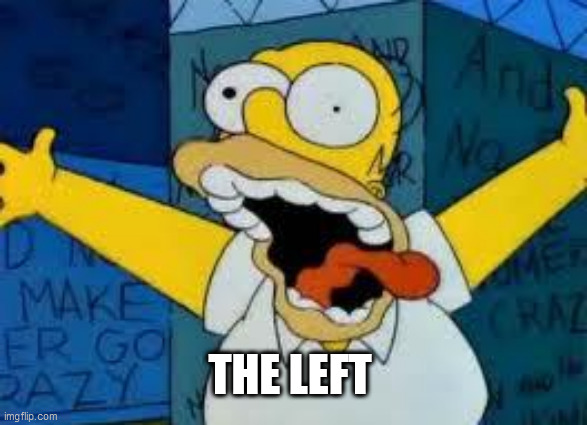 Homer Going Crazy | THE LEFT | image tagged in homer going crazy | made w/ Imgflip meme maker