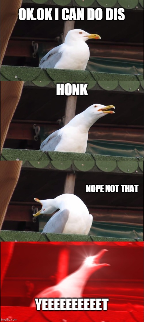 YEEEEEET | OK.OK I CAN DO DIS; HONK; NOPE NOT THAT; YEEEEEEEEEET | image tagged in memes,inhaling seagull | made w/ Imgflip meme maker