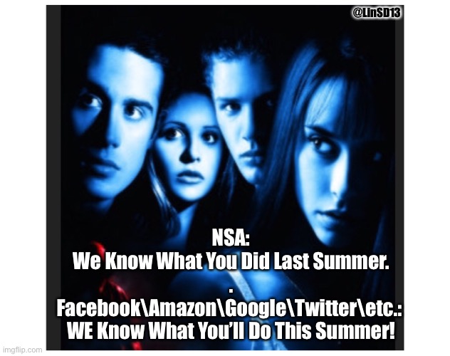 Social Media is your Fren. | @LinSD13; NSA:
We Know What You Did Last Summer.

.
Facebook\Amazon\Google\Twitter\etc.: 

WE Know What You’ll Do This Summer! | image tagged in memes | made w/ Imgflip meme maker