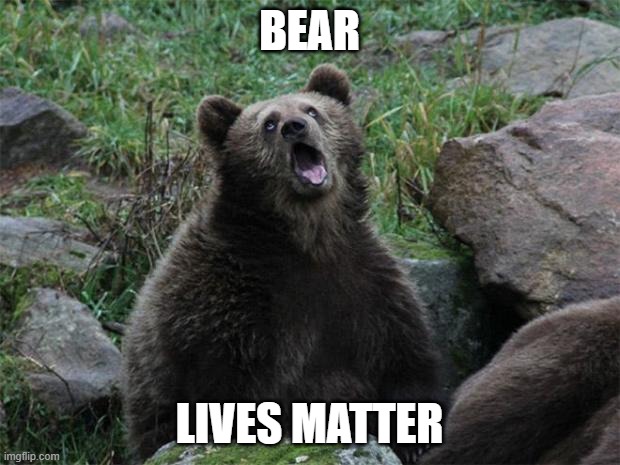 Bear lives matter | BEAR; LIVES MATTER | image tagged in sarcastic bear | made w/ Imgflip meme maker