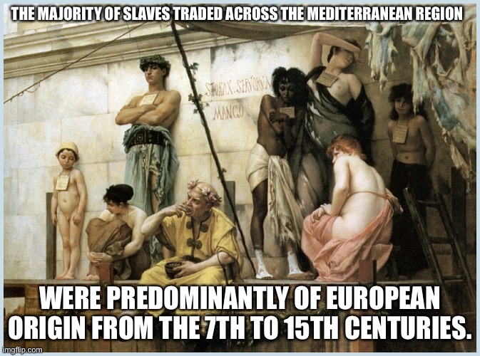 White slaves | THE MAJORITY OF SLAVES TRADED ACROSS THE MEDITERRANEAN REGION; WERE PREDOMINANTLY OF EUROPEAN ORIGIN FROM THE 7TH TO 15TH CENTURIES. | image tagged in white woman | made w/ Imgflip meme maker