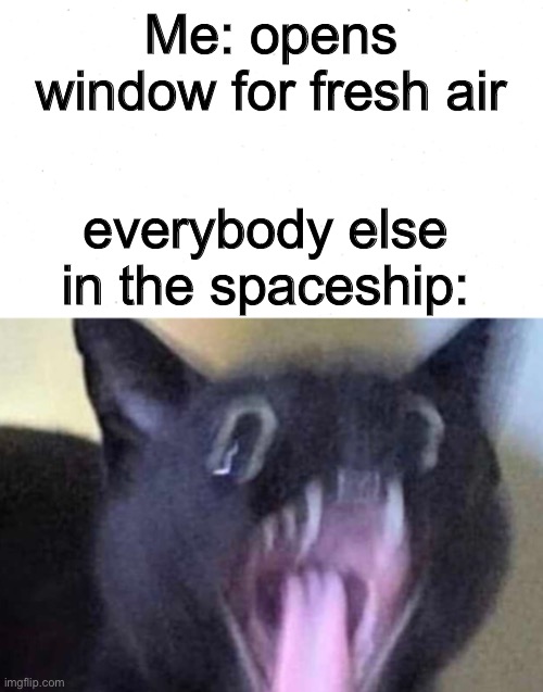 o no | Me: opens window for fresh air; everybody else in the spaceship: | image tagged in blank white template | made w/ Imgflip meme maker