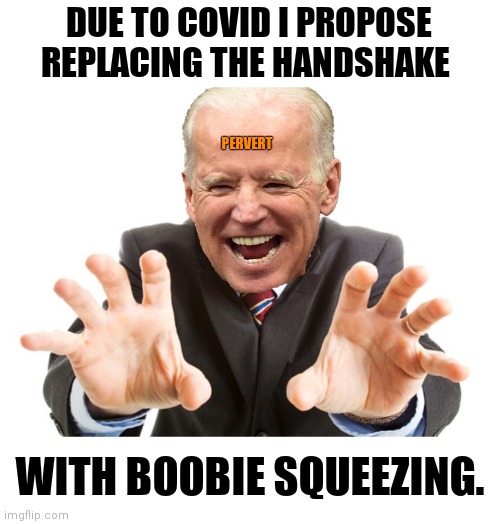 Joe Biden | DUE TO COVID I PROPOSE REPLACING THE HANDSHAKE; PERVERT; WITH BOOBIE SQUEEZING. | image tagged in joe biden | made w/ Imgflip meme maker
