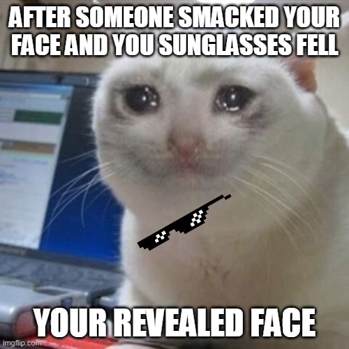 Crying cat | AFTER SOMEONE SMACKED YOUR FACE AND YOU SUNGLASSES FELL; YOUR REVEALED FACE | image tagged in crying cat | made w/ Imgflip meme maker