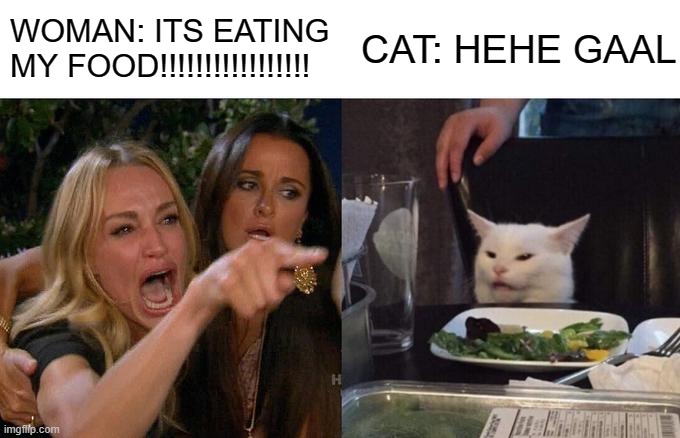 Woman Yelling At Cat | WOMAN: ITS EATING MY FOOD!!!!!!!!!!!!!!!!! CAT: HEHE GAAL | image tagged in memes,woman yelling at cat | made w/ Imgflip meme maker