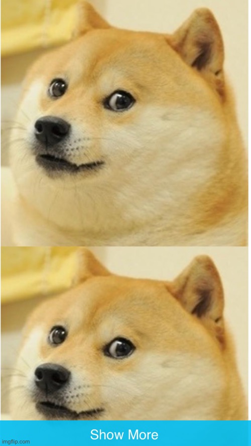 More doges!!!!!! | image tagged in trick | made w/ Imgflip meme maker