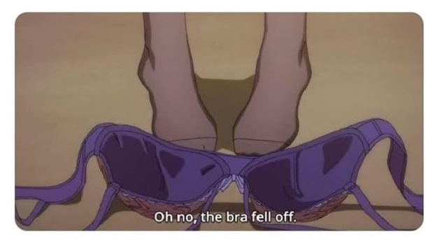 the bra fell off Blank Meme Template
