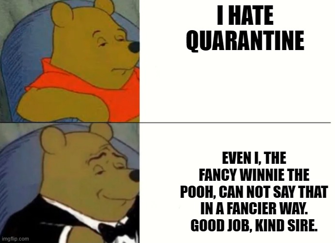 Hmm. | I HATE QUARANTINE; EVEN I, THE FANCY WINNIE THE POOH, CAN NOT SAY THAT IN A FANCIER WAY. GOOD JOB, KIND SIRE. | image tagged in fancy winnie the pooh meme | made w/ Imgflip meme maker
