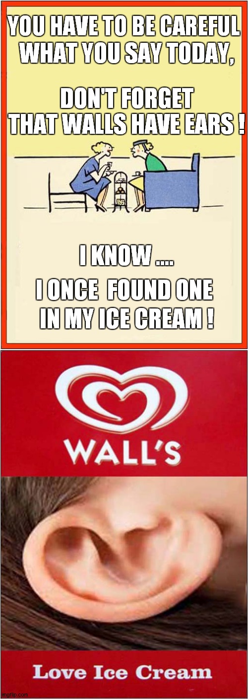 Walls Have Ears ! | YOU HAVE TO BE CAREFUL; WHAT YOU SAY TODAY, DON'T FORGET THAT WALLS HAVE EARS ! I KNOW .... I ONCE  FOUND ONE; IN MY ICE CREAM ! | image tagged in fun,be careful,ice cream | made w/ Imgflip meme maker