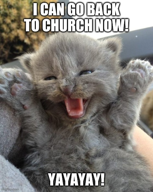 who else can? | I CAN GO BACK TO CHURCH NOW! YAYAYAY! | image tagged in yay kitty | made w/ Imgflip meme maker