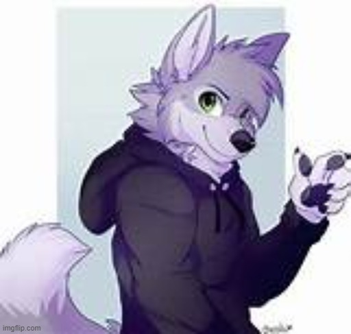 furry | image tagged in furry | made w/ Imgflip meme maker