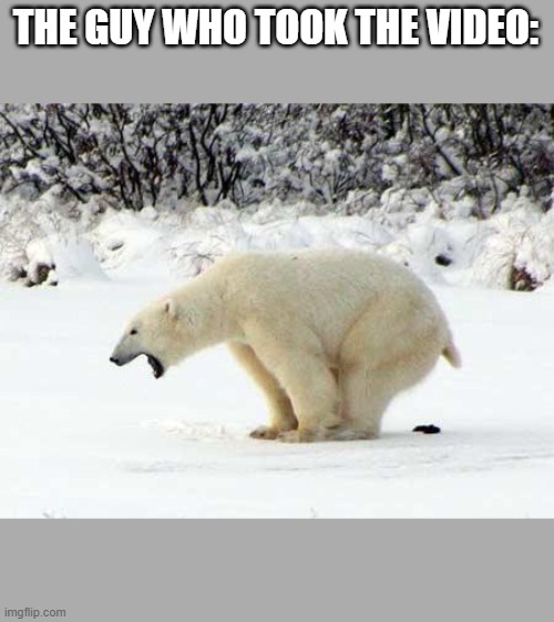 Polar Bear Shits in the Snow | THE GUY WHO TOOK THE VIDEO: | image tagged in polar bear shits in the snow | made w/ Imgflip meme maker