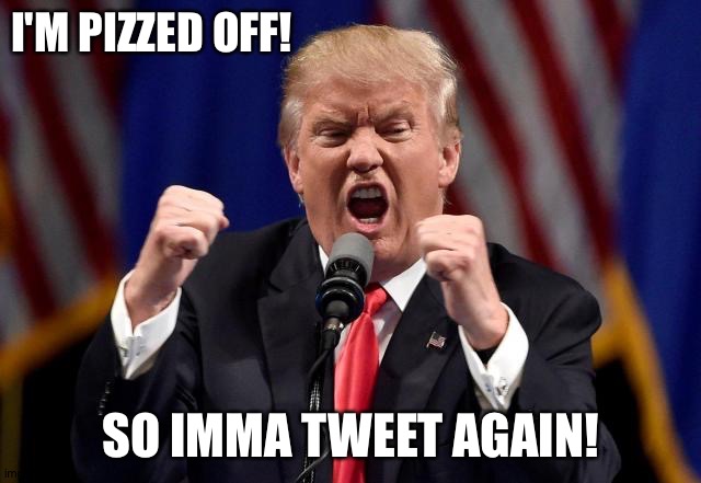 Angry Trump | I'M PIZZED OFF! SO IMMA TWEET AGAIN! | image tagged in angry trump | made w/ Imgflip meme maker