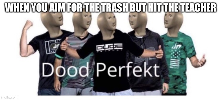 Dood perfekt | WHEN YOU AIM FOR THE TRASH BUT HIT THE TEACHER | image tagged in dood perfekt | made w/ Imgflip meme maker