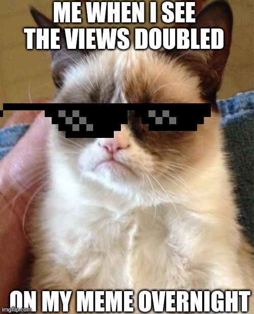 My views doubled overnight!? | ME WHEN I SEE THE VIEWS DOUBLED; ON MY MEME OVERNIGHT | image tagged in memes,grumpy cat | made w/ Imgflip meme maker