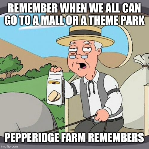 Pepperidge Farm Remembers Meme | REMEMBER WHEN WE ALL CAN GO TO A MALL OR A THEME PARK; PEPPERIDGE FARM REMEMBERS | image tagged in memes,pepperidge farm remembers,coronavirus | made w/ Imgflip meme maker