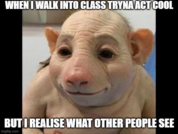 boi the mandem dont care | WHEN I WALK INTO CLASS TRYNA ACT COOL; BUT I REALISE WHAT OTHER PEOPLE SEE | image tagged in boi | made w/ Imgflip meme maker